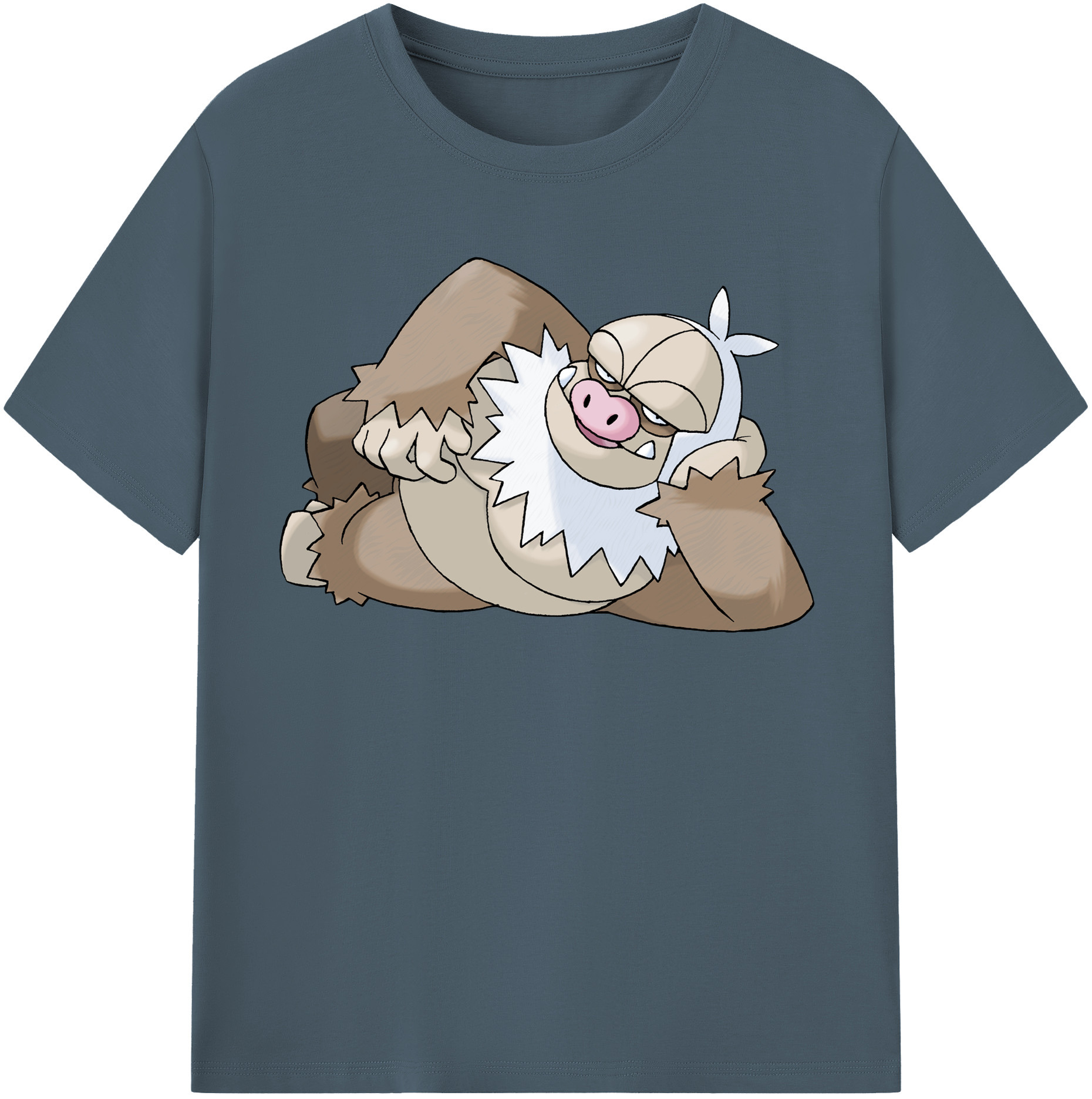 （画像用） ポケットモンスター Pokémon 綿100％半袖Tシャツ（フロントプリント）